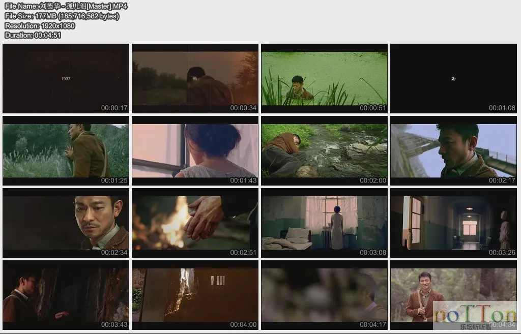 刘德华 - 孤儿泪[Master].webp