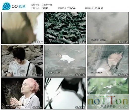 47.webp
