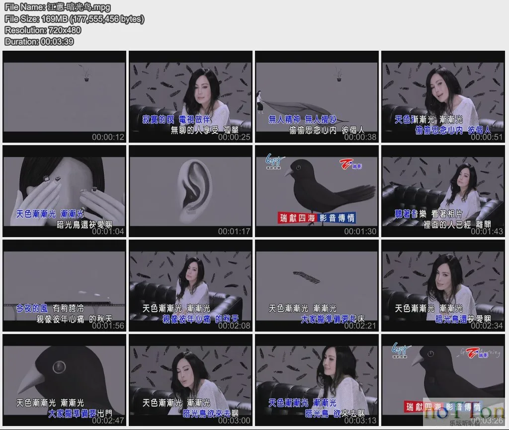 江蕙-暗光鸟.webp 江蕙-暗光鸟.webp
