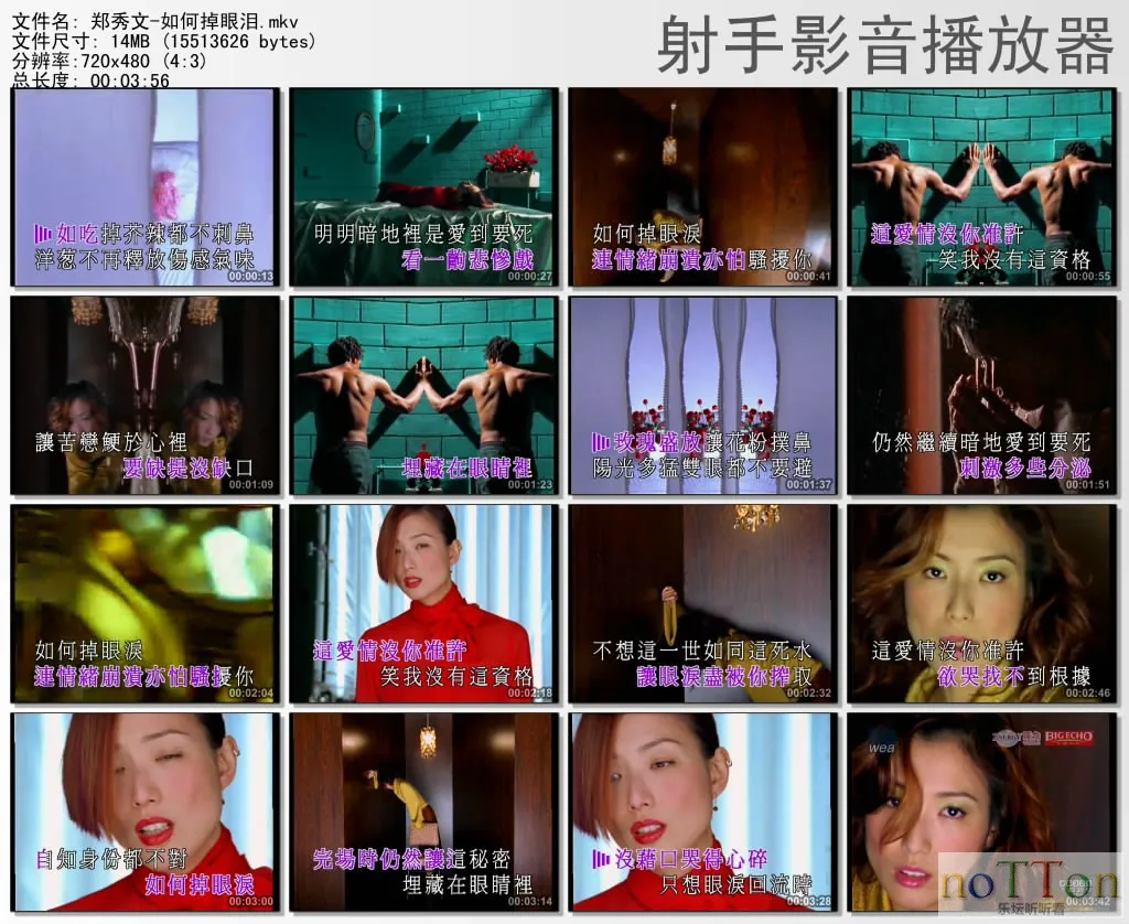thumbs20131005170608.webp