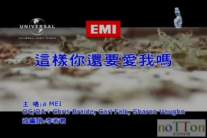 张惠妹-这样你还要爱我吗1.webp