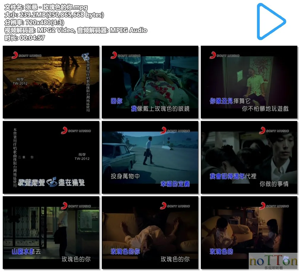 张悬－玫瑰色的你.mpg.webp