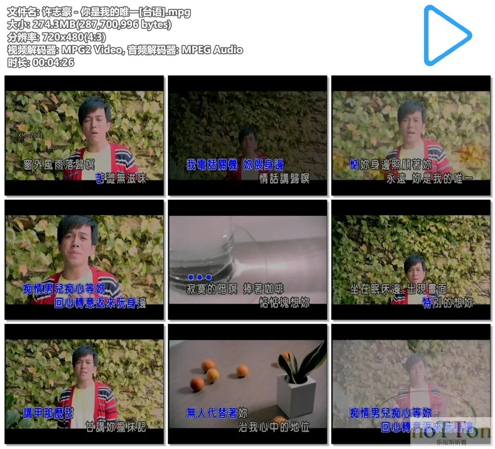 许志豪－你是我的唯一[台语].mpg.webp