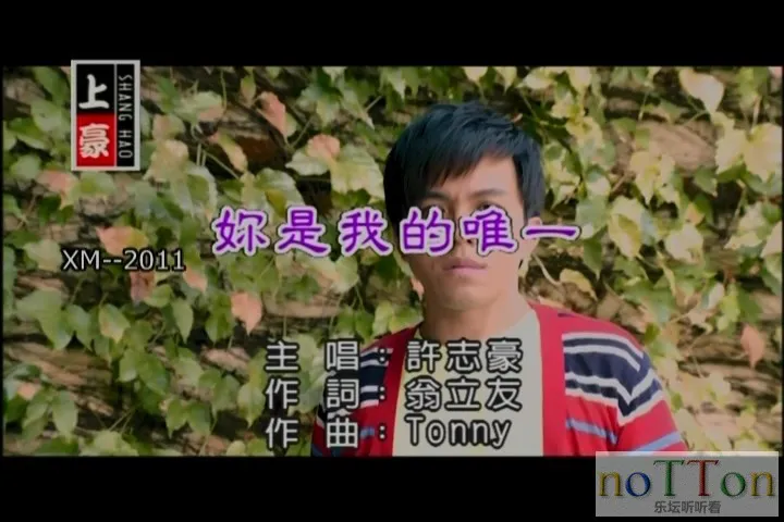 许志豪－你是我的唯一[台语].mpg_20141002_172849.322.webp