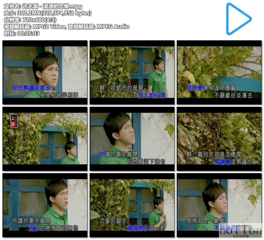 许志豪－流浪的恋情.mpg.webp