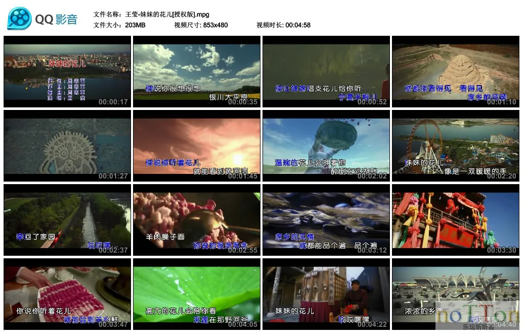 王莹-妹妹的花儿[授权版].mpg_thumbs_2015.04.06.07_40_40.webp