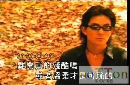 8.webp