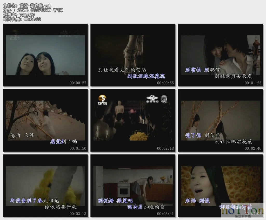 黄灿-黄玫瑰.vob.webp