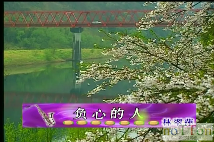 1111.webp