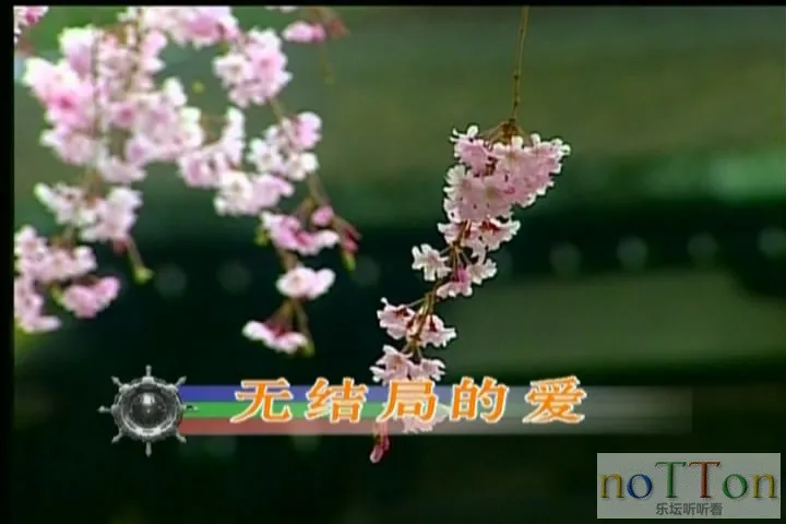 1111.webp