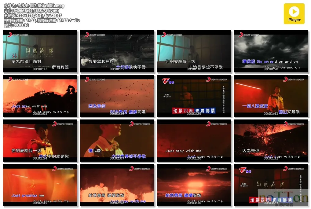 韦礼安-因为是你(瑞影).mpg.webp