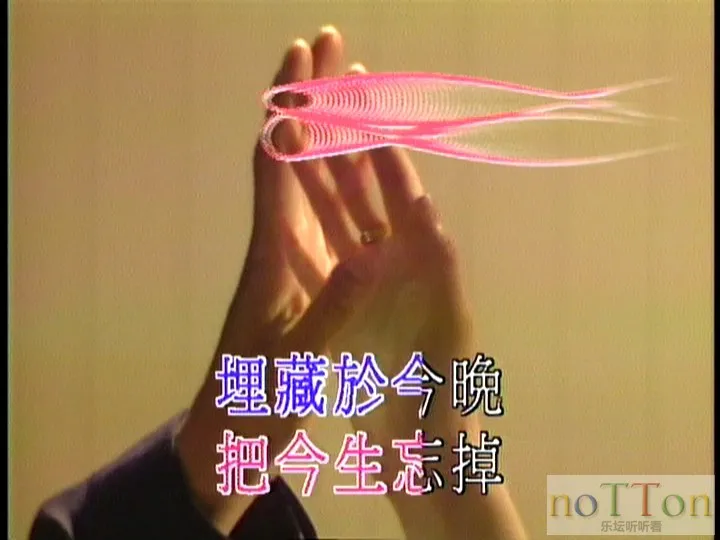 5.webp