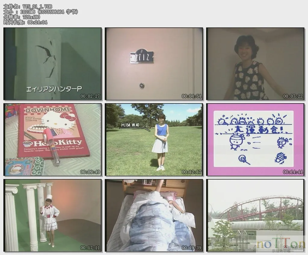 VTS_01_01.VOB.webp