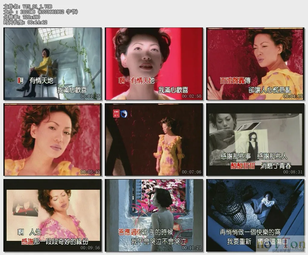 VTS_01_01.VOB.webp