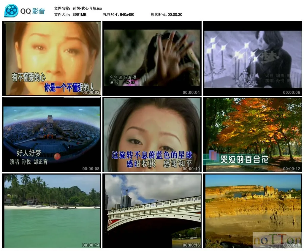 孙悦-我心飞翔.webp 孙悦-我心飞翔.webp